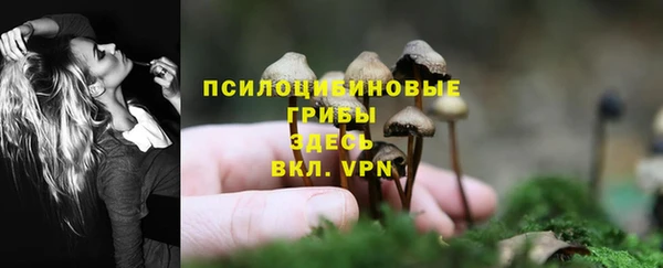 jwh Алзамай