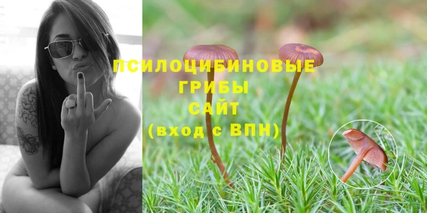 PSILOCYBIN Ижевск