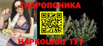 а пвп мука Брянск