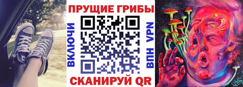 Галлюциногенные грибы ЛСД  Дзержинский 