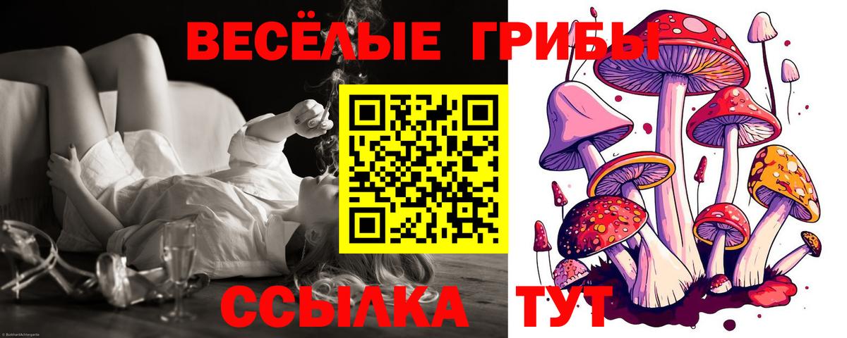 Галлюциногенные грибы ЛСД Дзержинский